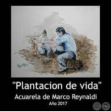 Plantacin de Vida - Acuarela de Marco Reynaldi - Ao 2017